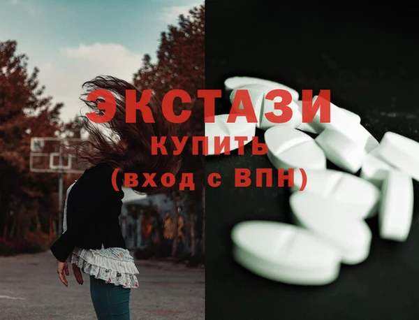 гашик Алексин