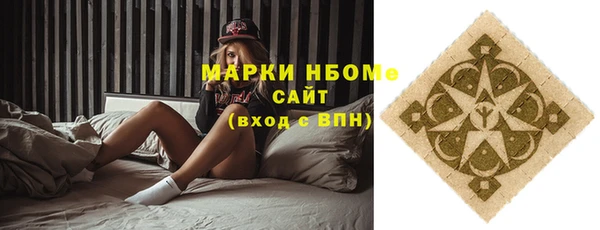 гашик Алексин