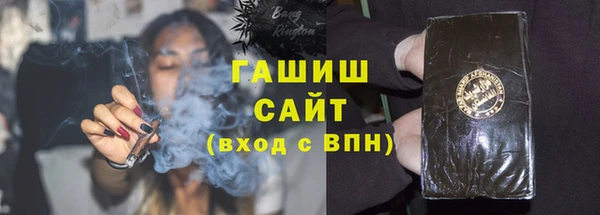 гашик Алексин