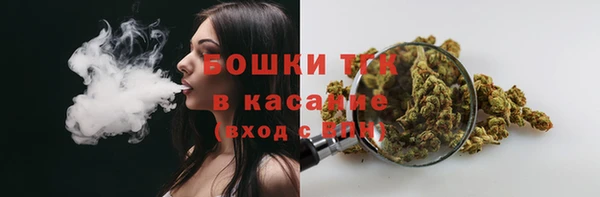гашик Алексин