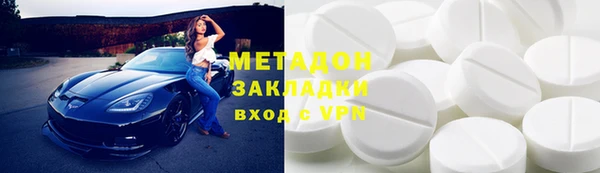 гашик Алексин