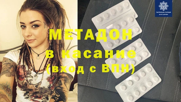 гашик Алексин