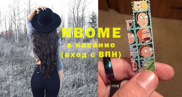 гашик Алексин