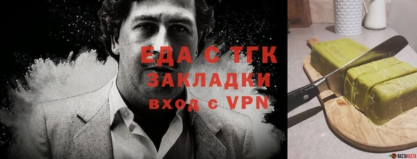 гашик Алексин