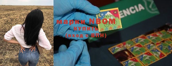 гашик Алексин
