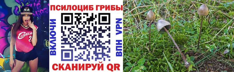 Галлюциногенные грибы мицелий Анива